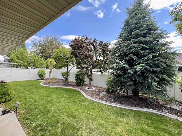 315 Shadetree Trl, Twin Falls, ID 83301 - view of yard