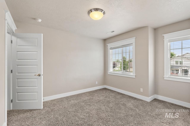 13991 W Milford Dr, Boise, ID 83713 - empty room with plenty of natural light, carpet, baseboards, and a textured ceiling