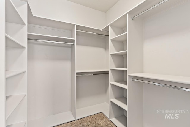 13991 W Milford Dr, Boise, ID 83713 - view of spacious closet