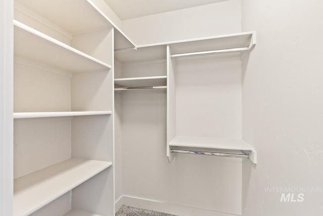 13991 W Milford Dr, Boise, ID 83713 - view of spacious closet