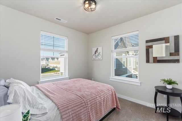 bedroom featuring multiple windows and carpet floors