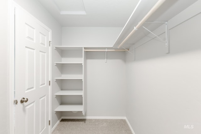 walk in closet with carpet