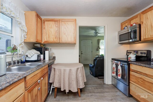 kitchen featuring stainless steel appliances, sink, and light wood-type flooring