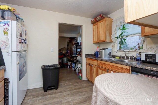 kitchen featuring a textured ceiling, white fridge, sink, and light hardwood / wood-style floors