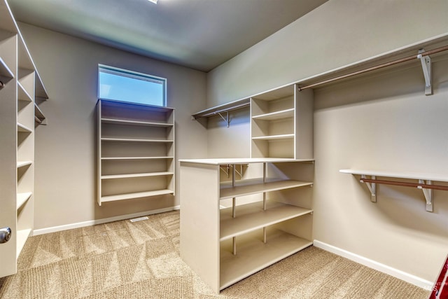 spacious closet with light carpet