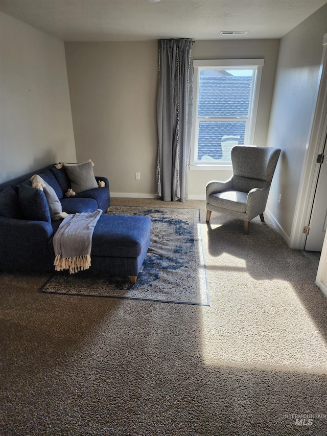 sitting room featuring carpet floors