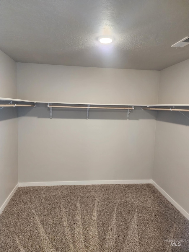 walk in closet featuring carpet flooring