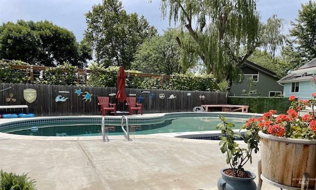 view of pool featuring a patio