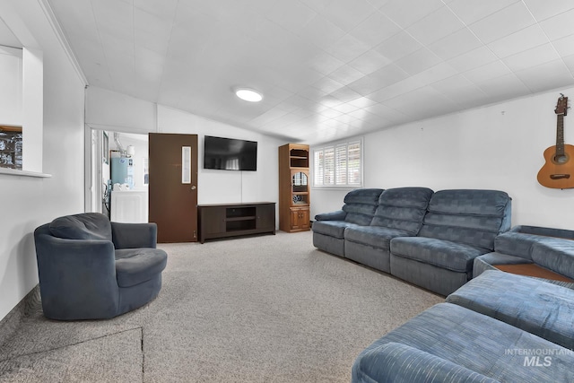 2323 W Lemhi St, Boise, ID 83705 - carpeted living area with water heater and lofted ceiling