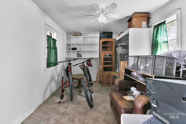 2323 W Lemhi St, Boise, ID 83705 - storage area featuring a ceiling fan