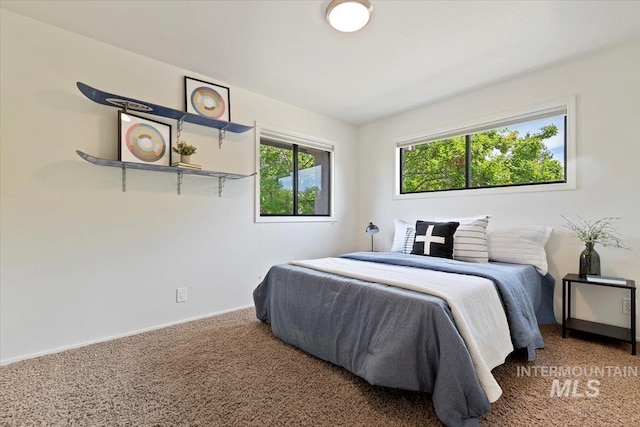 1814 E Spinnaker Ct, Boise, ID 83706 - bedroom with carpet floors and baseboards