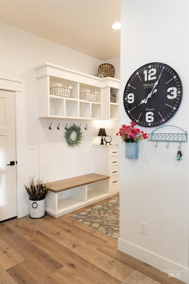 mudroom with wood-type flooring