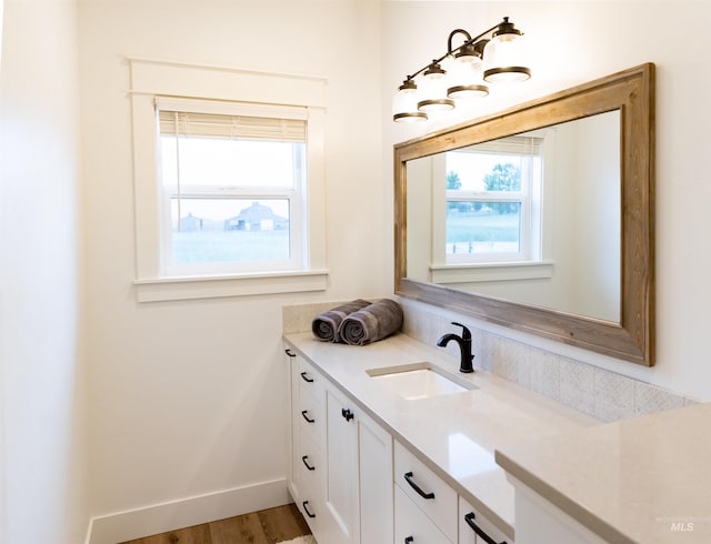 bathroom featuring wood-type flooring, vanity, and a healthy amount of sunlight