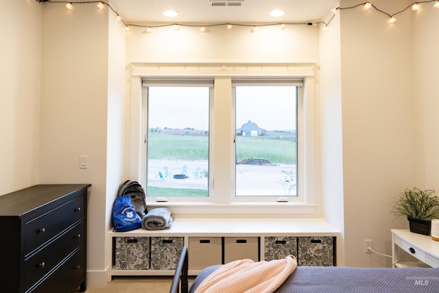 bedroom featuring multiple windows