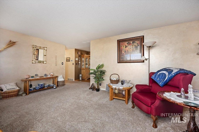 living area featuring carpet flooring and a textured ceiling
