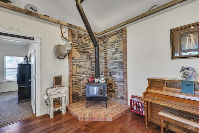 interior space featuring a wood stove and wood finished floors