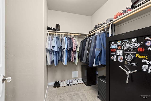 5359 N Landon Creek Pl, Meridian, ID 83646 - walk in closet featuring carpet