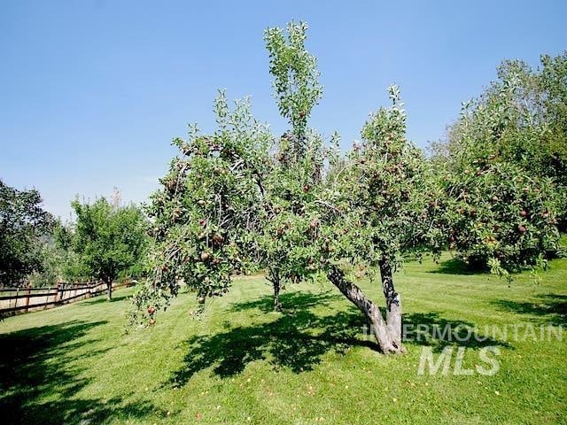 surrounding community featuring a yard and a rural view