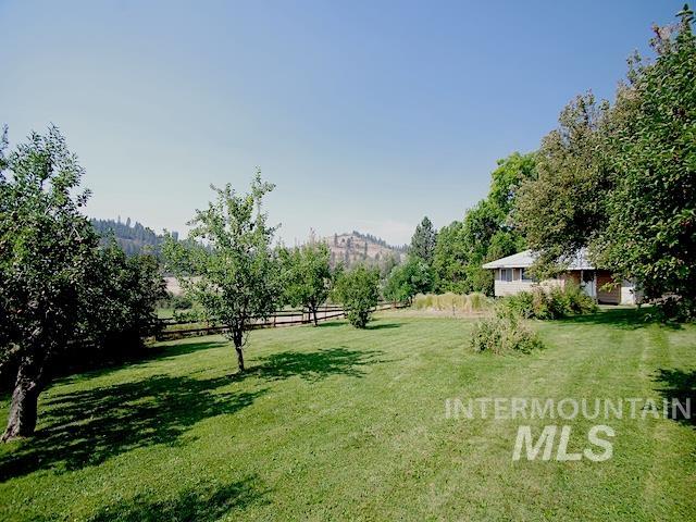 view of yard with a rural view