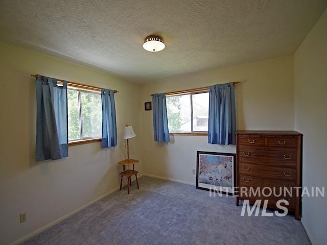 bedroom with carpet and a textured ceiling