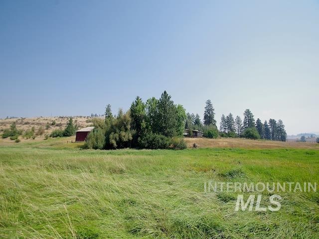 view of yard featuring a rural view