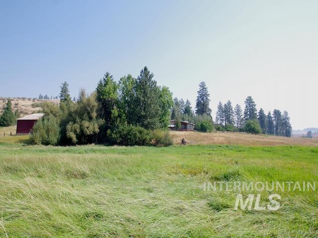 view of yard with a rural view