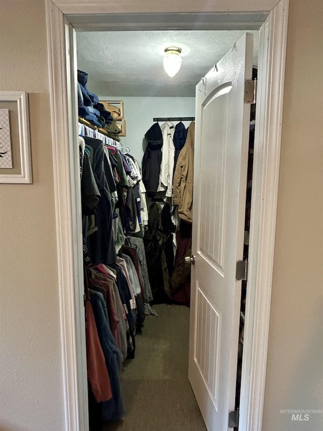 170 Red Fir, Kooskia, ID 83539 - walk in closet with carpet flooring