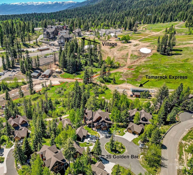 birds eye view of property with a mountain view