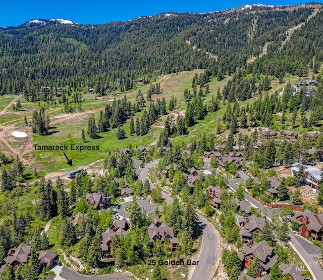 drone / aerial view with a mountain view