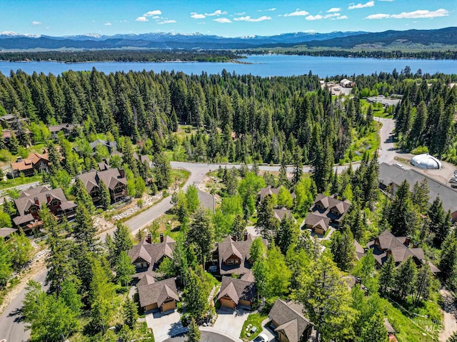 birds eye view of property with a water and mountain view