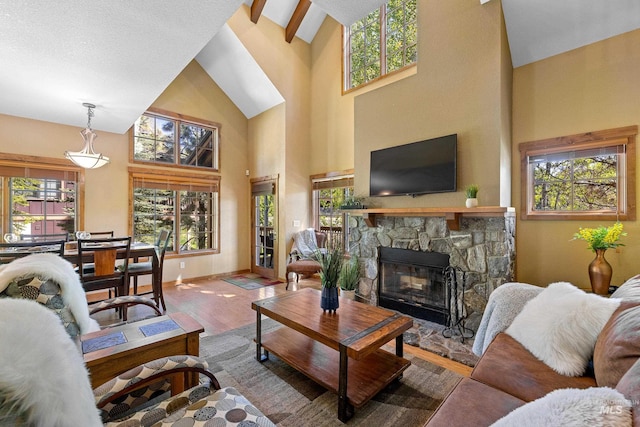 living room with a fireplace, high vaulted ceiling, hardwood / wood-style floors, and plenty of natural light