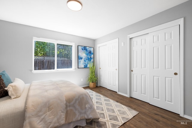 11031 W Red Maple Dr, Boise, ID 83709 - bedroom with two closets and wood finished floors