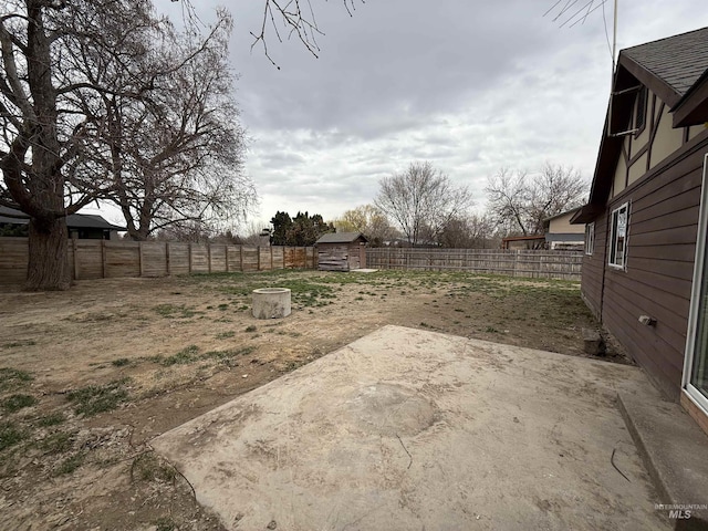 view of yard with a patio, an outbuilding, a fenced backyard, and a shed