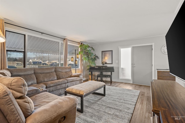 living room featuring light hardwood / wood-style floors