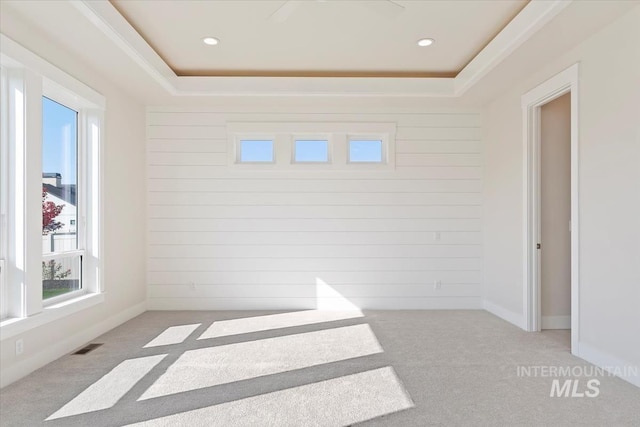 carpeted empty room with wooden walls and a raised ceiling