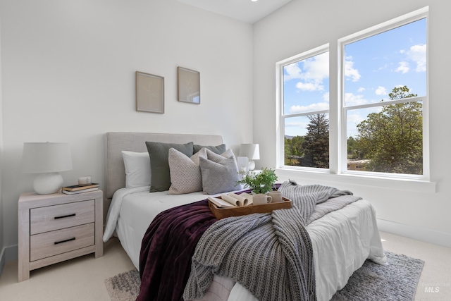 509 E Violets Cove Ln, Garden City, ID 83714 - bedroom with light carpet