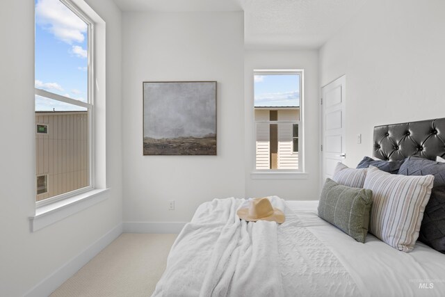 509 E Violets Cove Ln, Garden City, ID 83714 - carpeted bedroom with baseboards