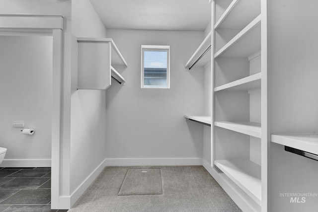 2499 E Berghan Ln, Meridian, ID 83642 - view of walk in closet