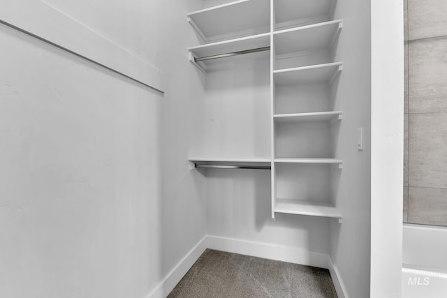 2499 E Berghan Ln, Meridian, ID 83642 - spacious closet with carpet floors