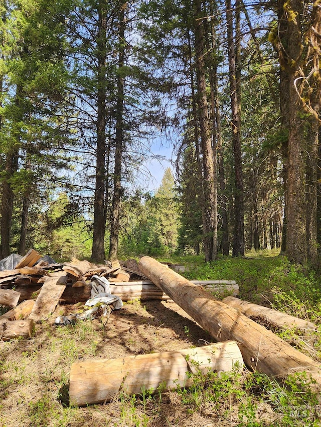 TBA Buckcamp Ln, Mccall, ID 83638