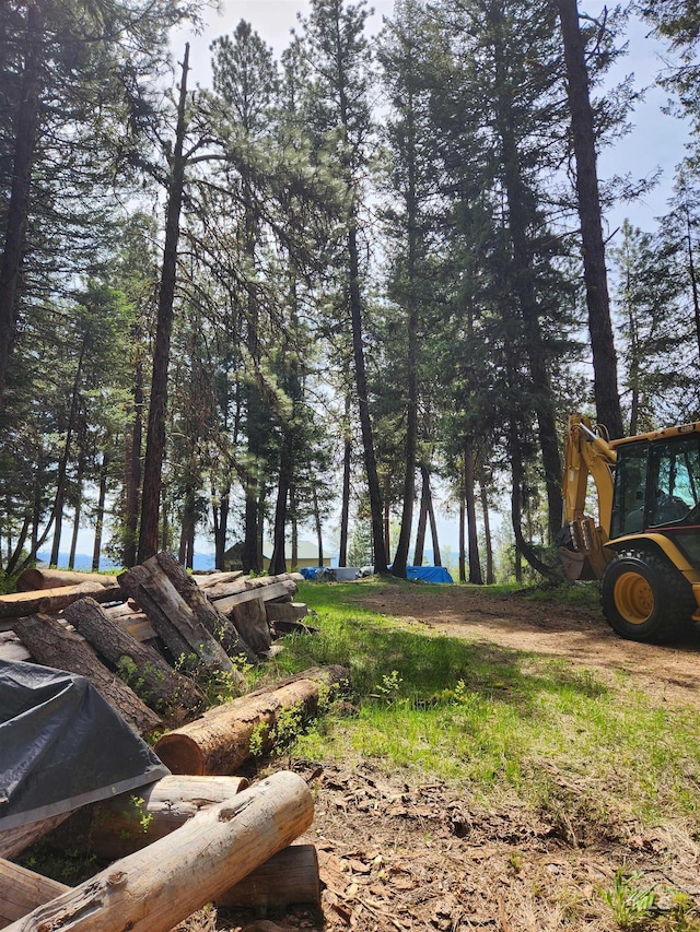 TBA Buckcamp Ln, Mccall, ID 83638