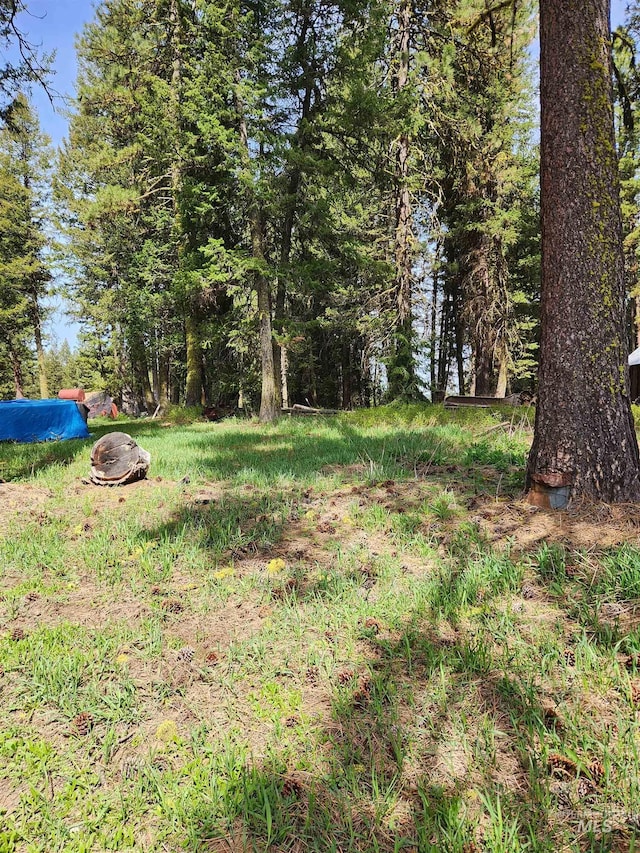 TBA Buckcamp Ln, Mccall, ID 83638