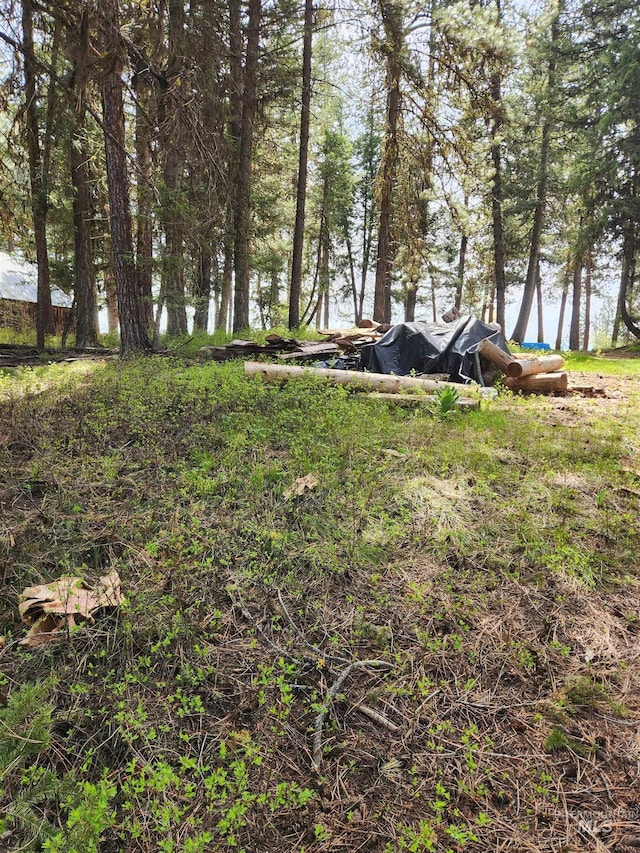 TBA Buckcamp Ln, Mccall, ID 83638