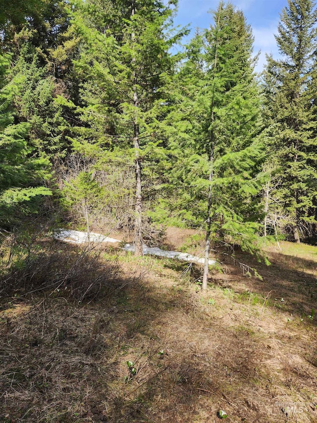 TBA Buckcamp Ln, Mccall, ID 83638
