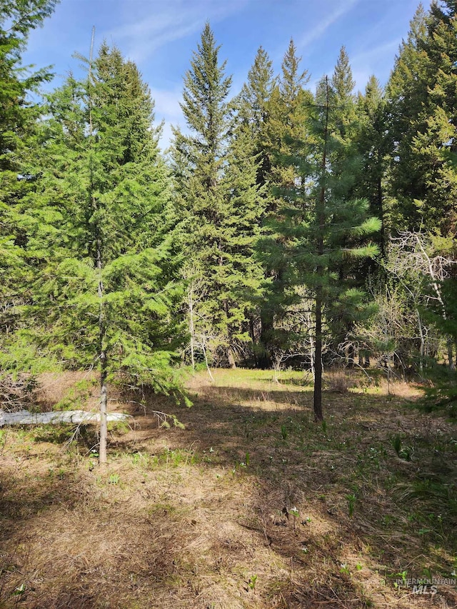TBA Buckcamp Ln, Mccall, ID 83638