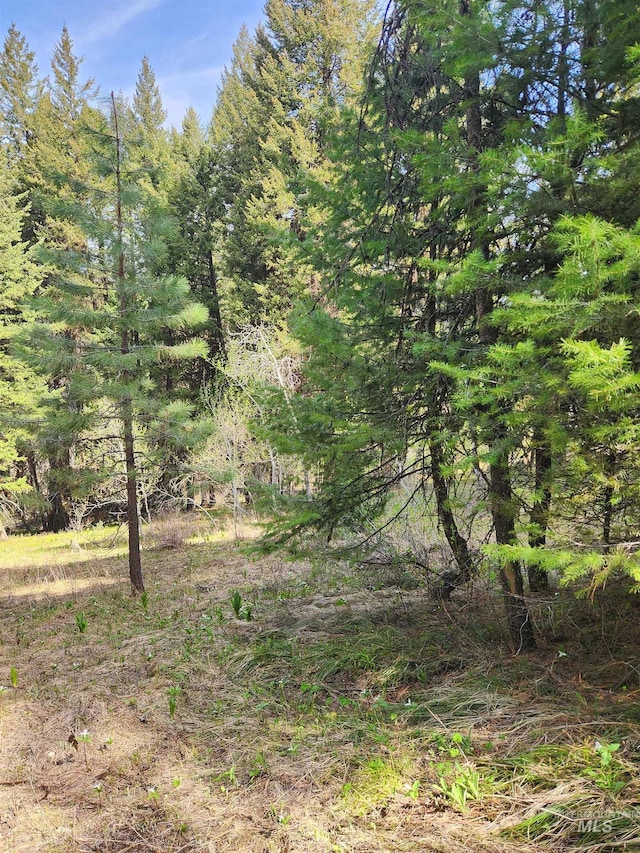 TBA Buckcamp Ln, Mccall, ID 83638