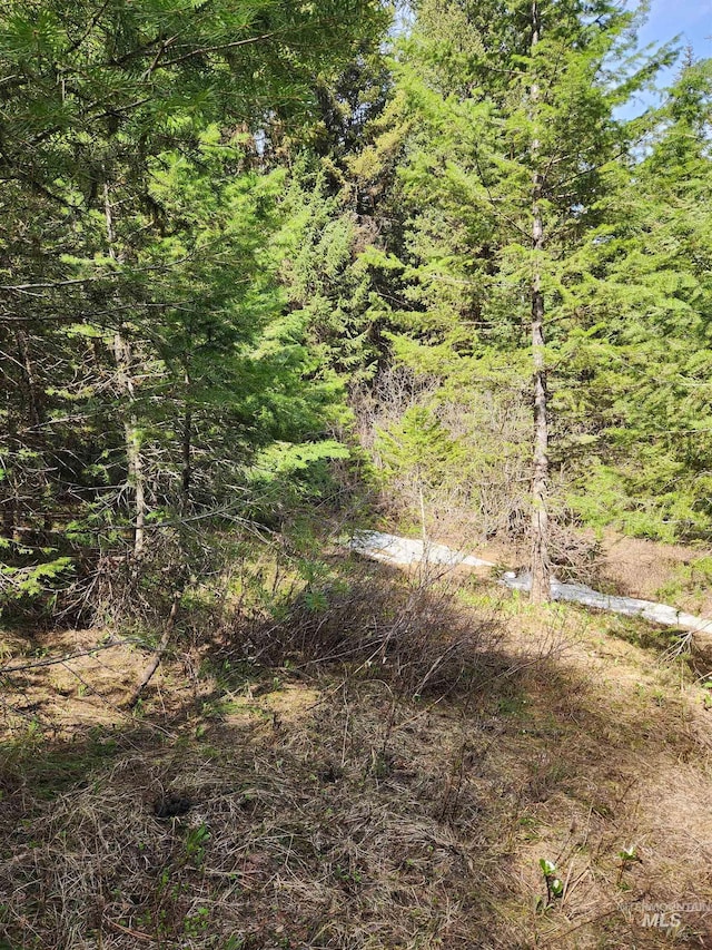 TBA Buckcamp Ln, Mccall, ID 83638
