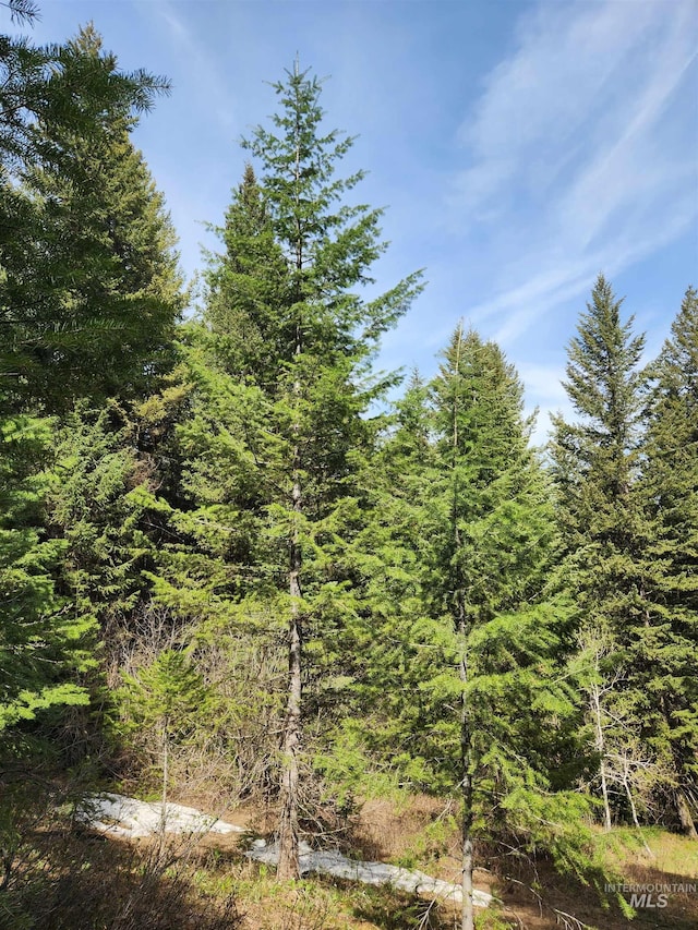 TBA Buckcamp Ln, Mccall, ID 83638