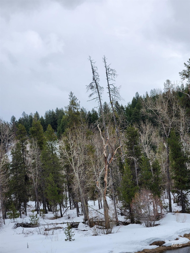 TBA Buckcamp Ln, Mccall, ID 83638