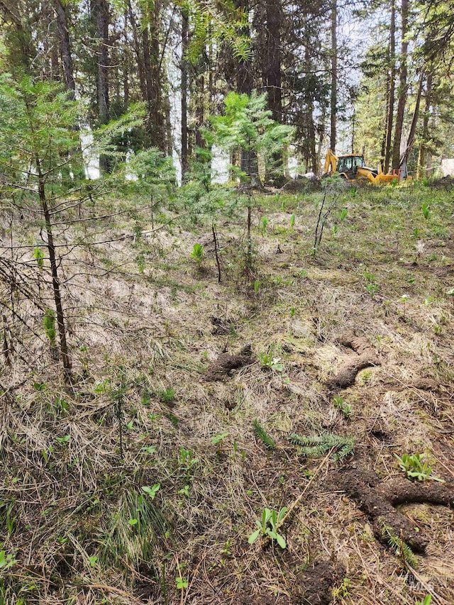 TBA Buckcamp Ln, Mccall, ID 83638